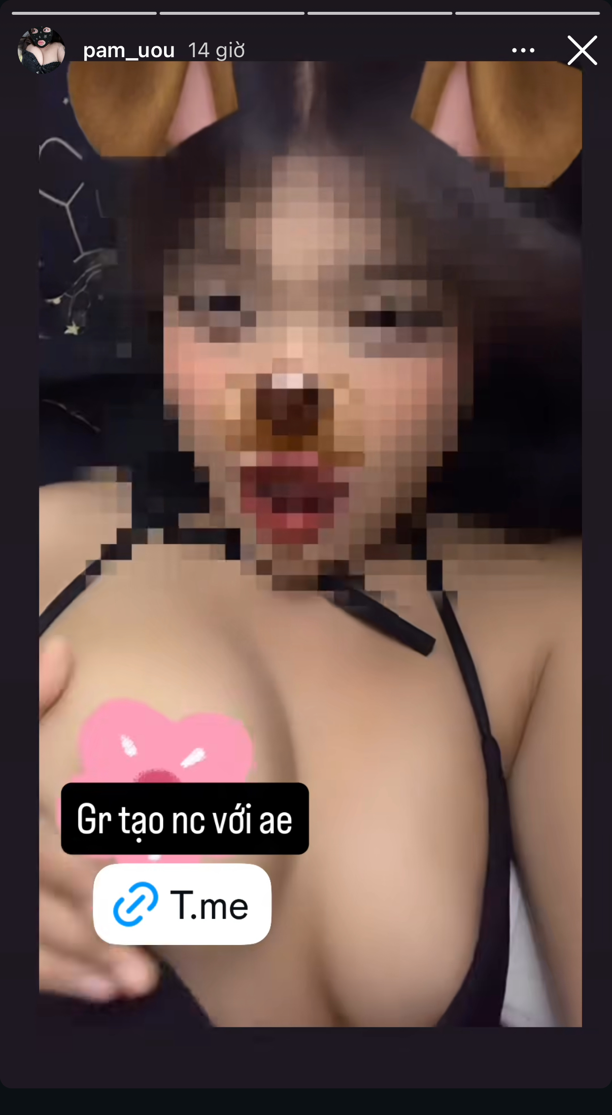 534046-22473044481d.jpeg