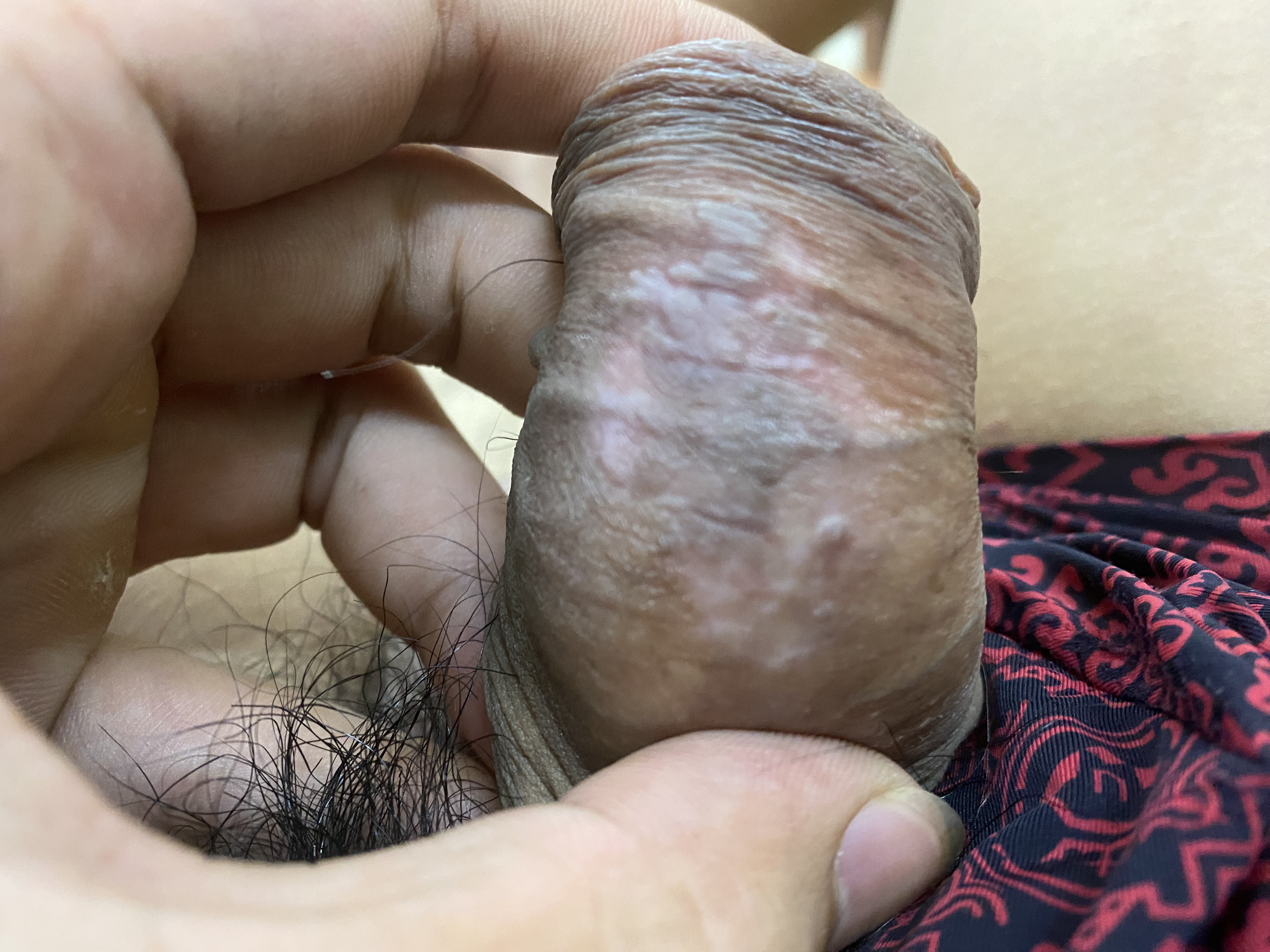 54357-e72bbfc997e6.jpeg