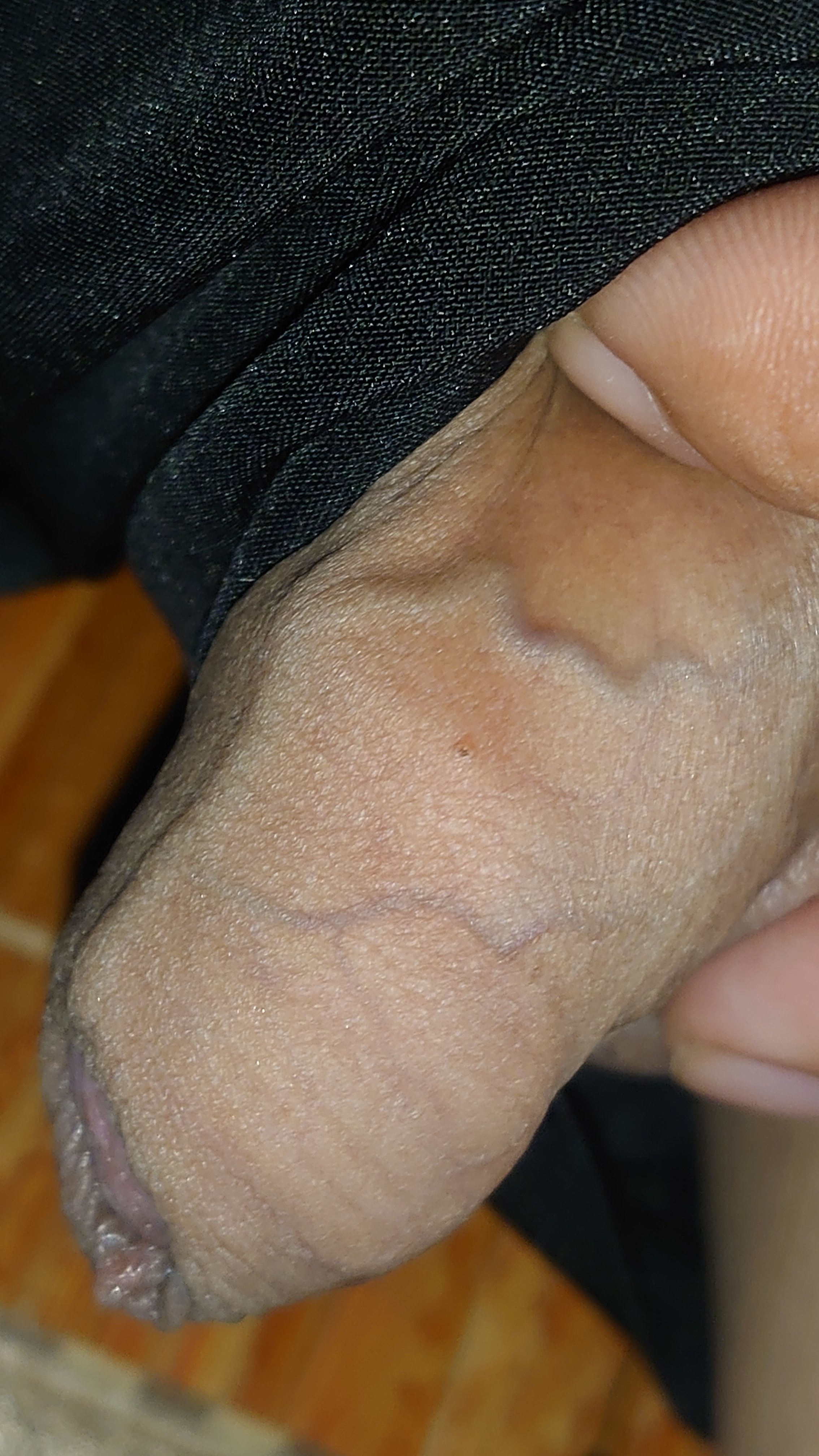 54893-ce581b155372.jpg
