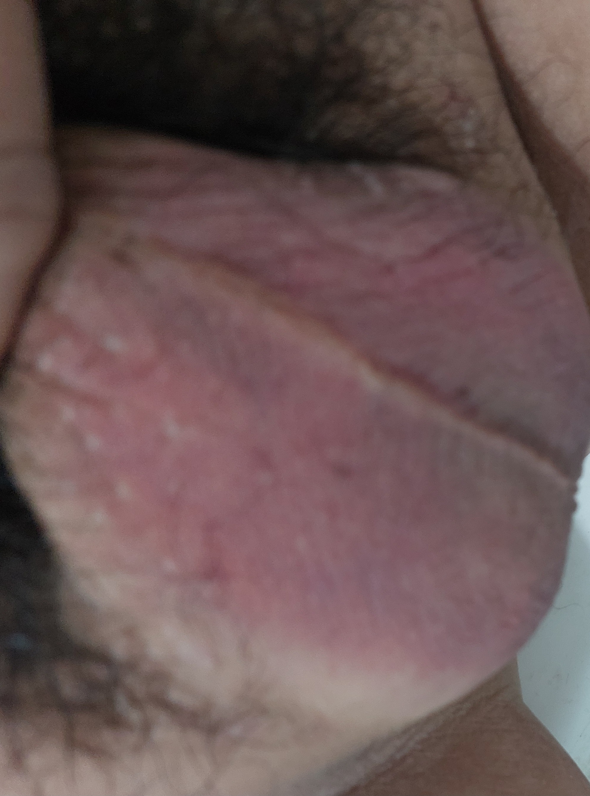 545367-4da92821192c.jpg