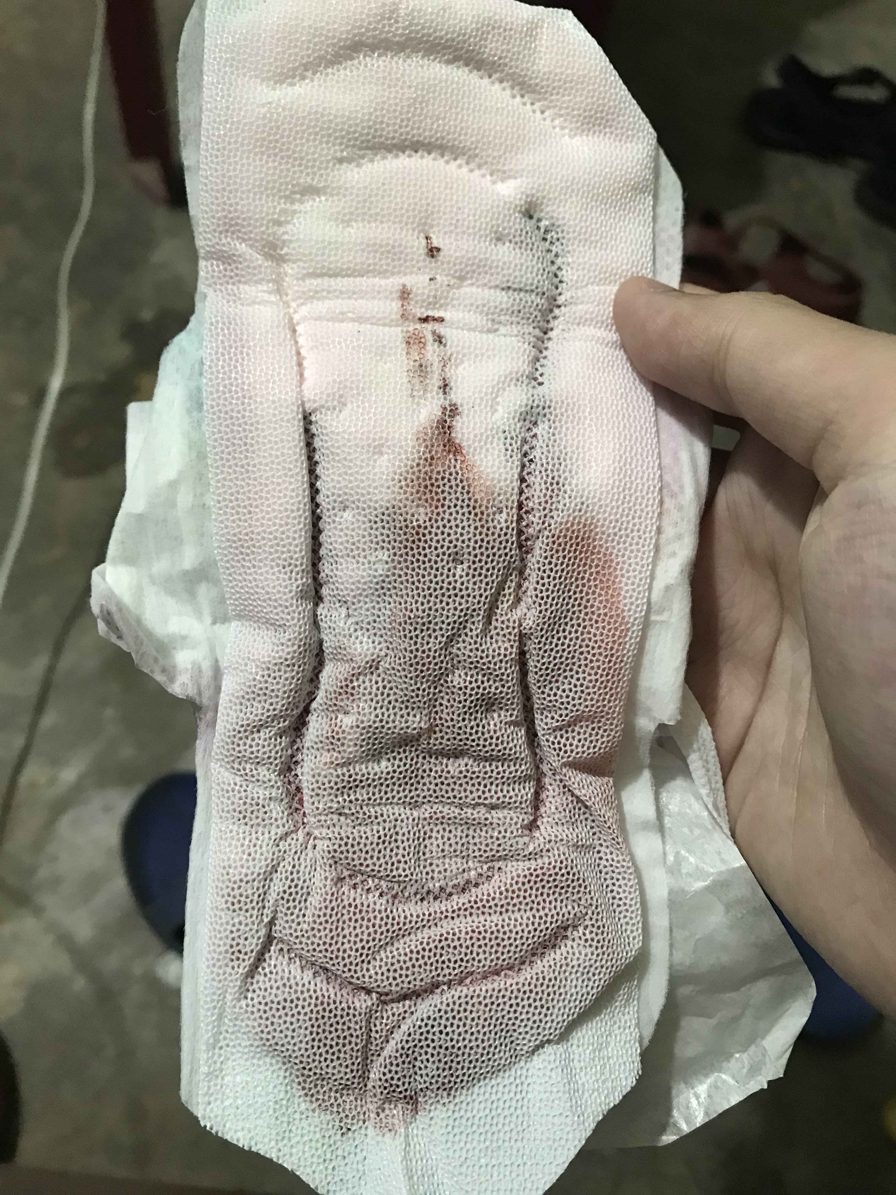 55849-d72f1c5b3aa9.jpeg
