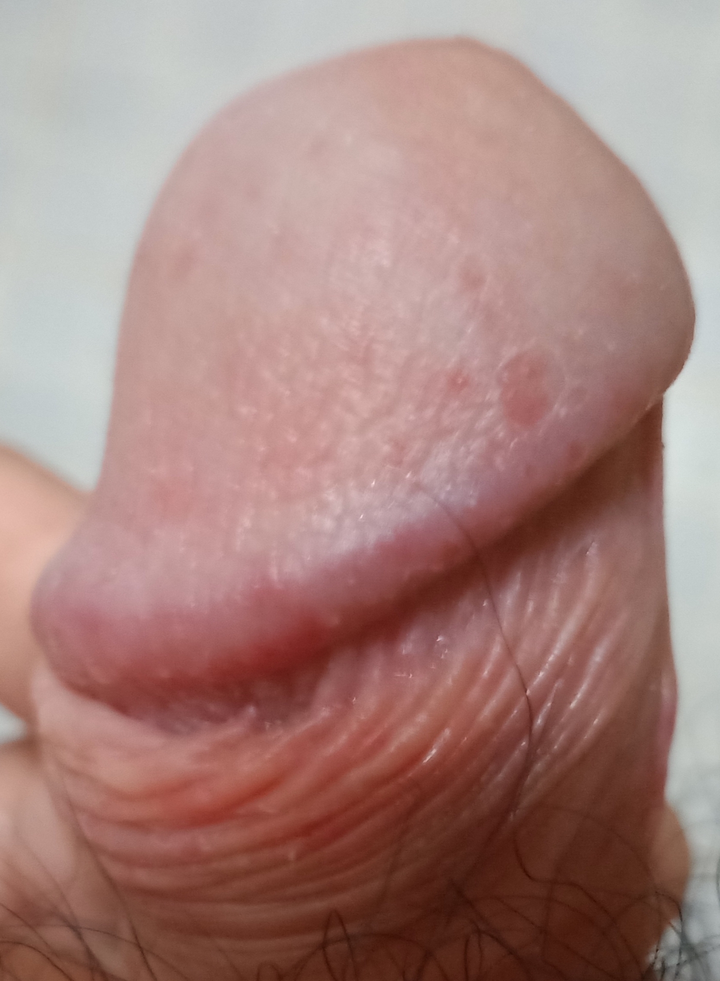 551169-a1454e3d467a.jpg