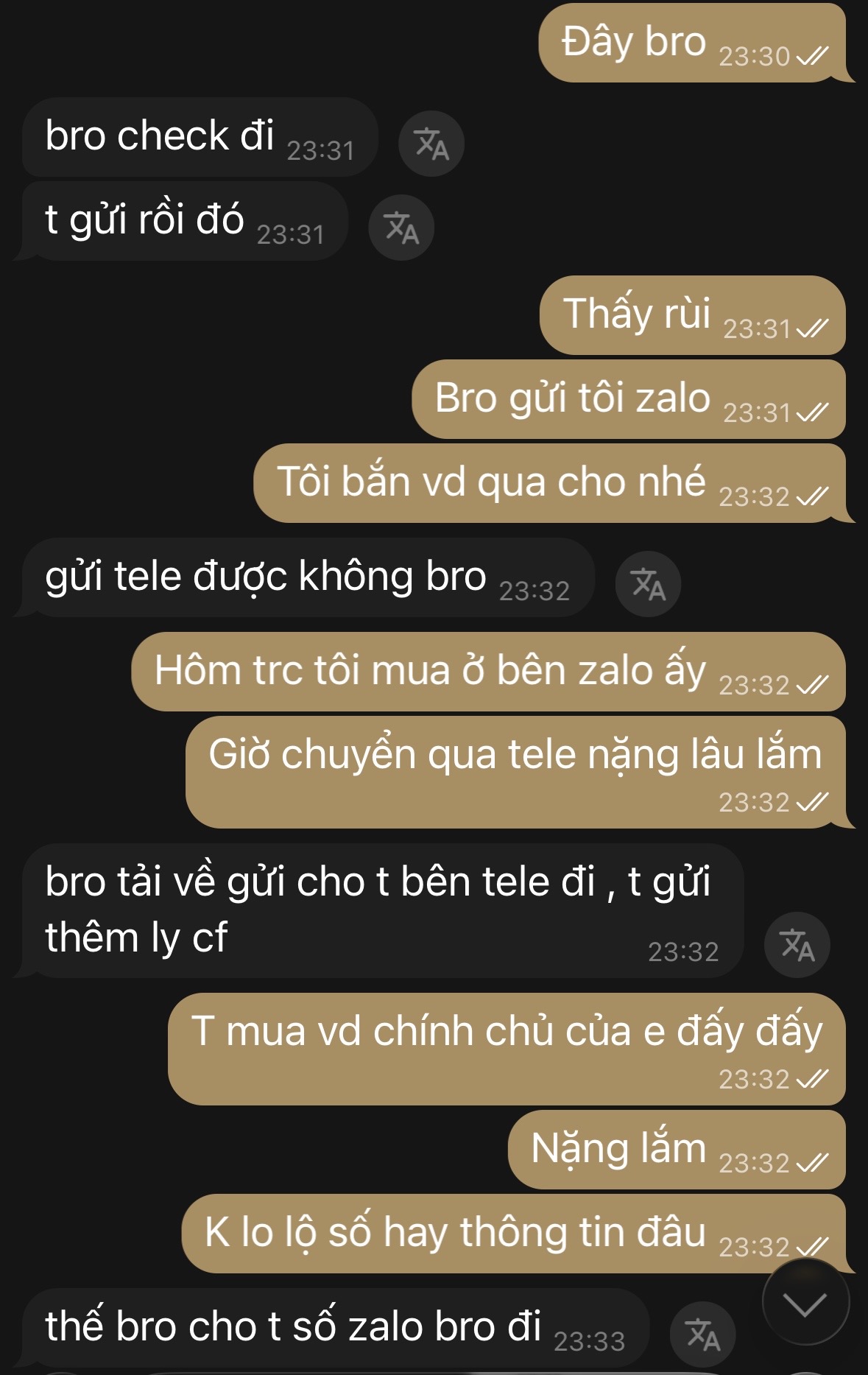 555577-a1390feb53e7.jpeg