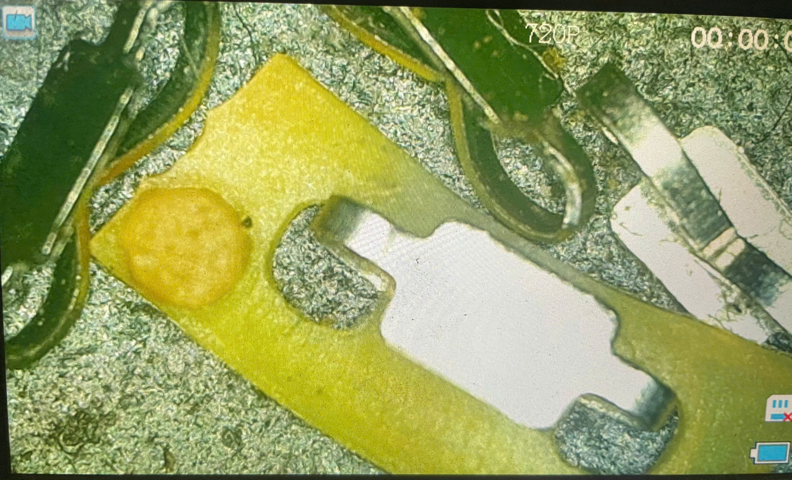 555649-6ac07fd892cd.jpg