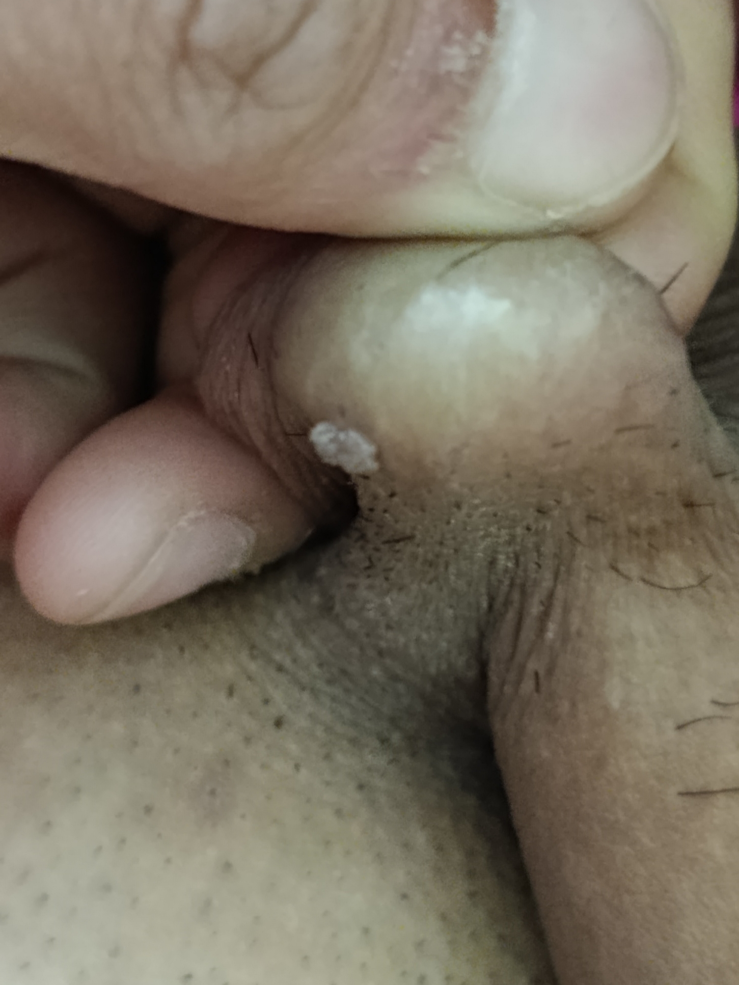556719-7f98897c30f2.jpg