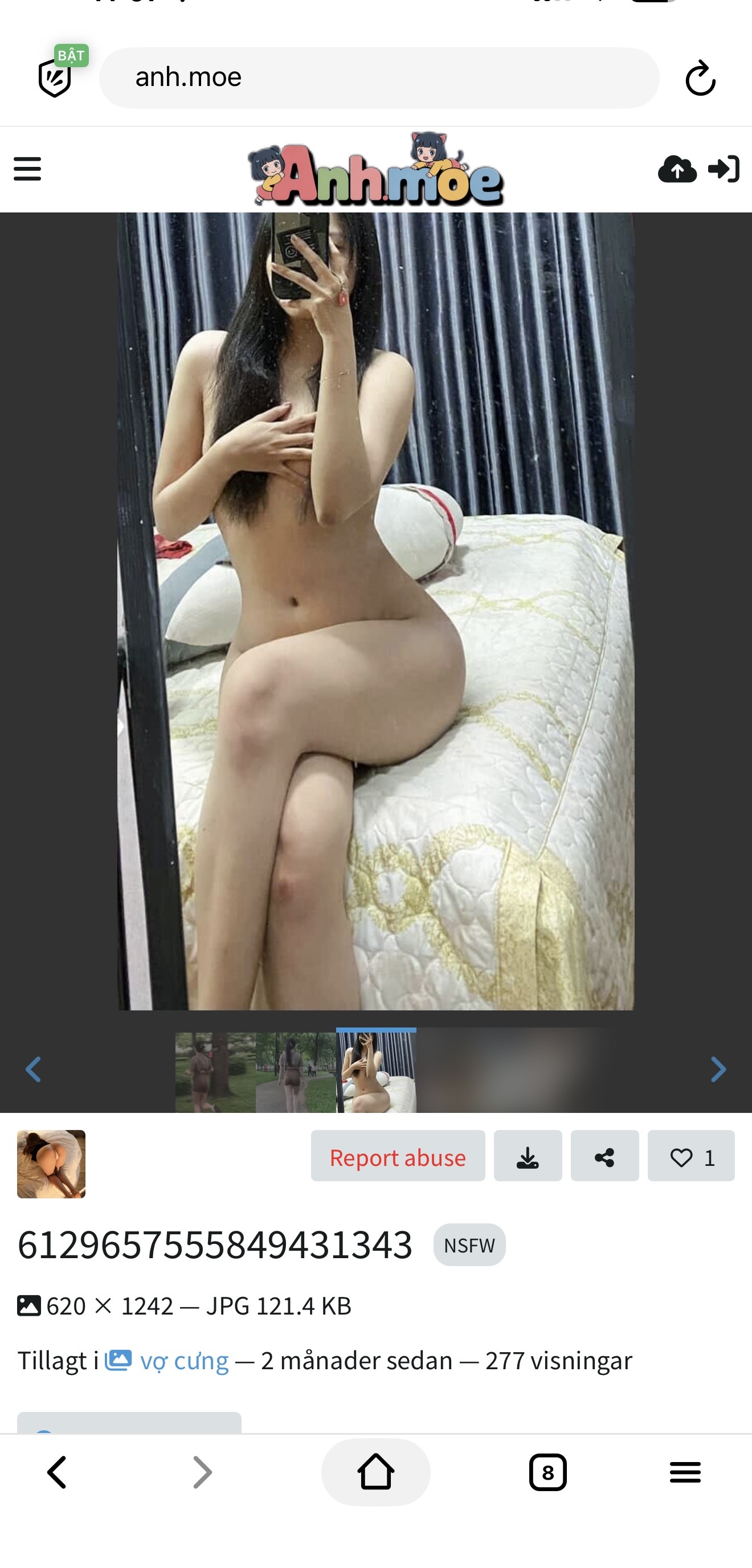 556770-69248504c664.jpeg