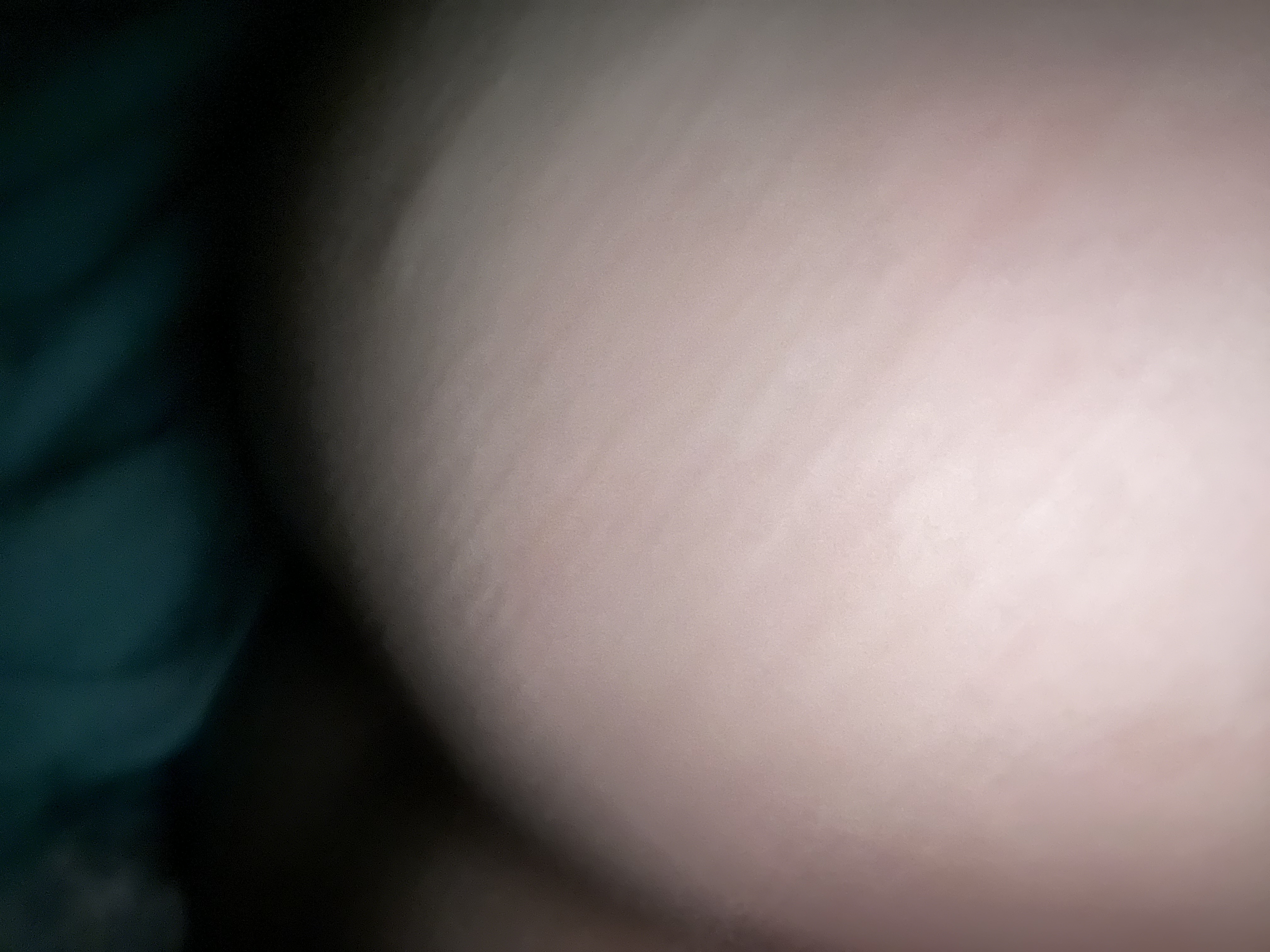558660-562f8213e8c5.jpeg
