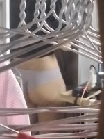 558985-4e1d4bbb92c8.jpg