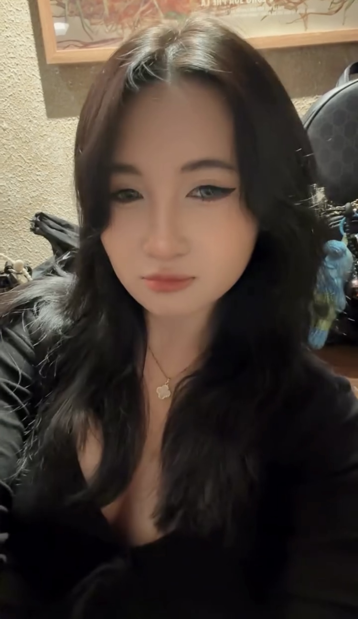 559071-d2177401f02e.jpeg
