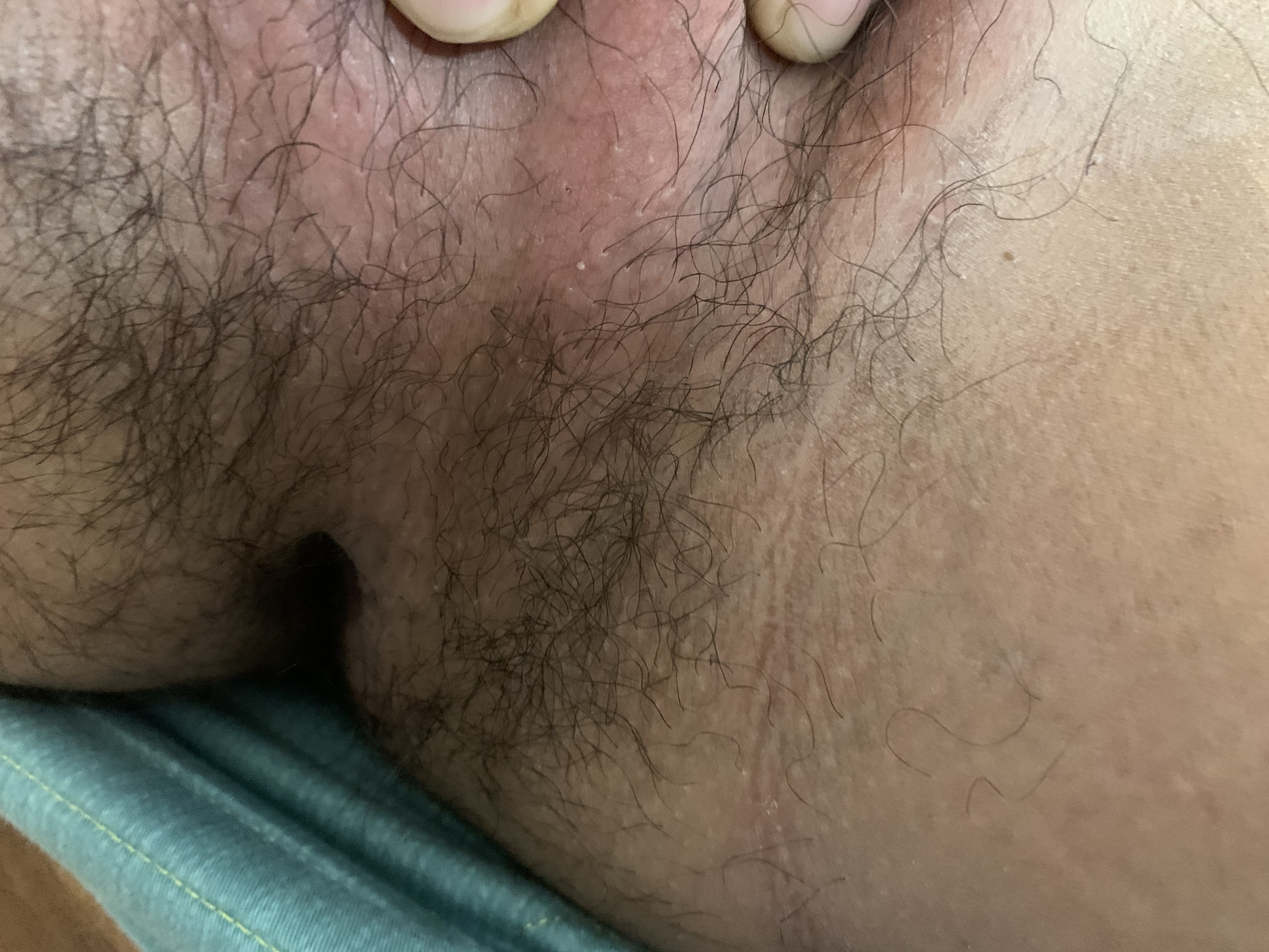 56474-84d069755df4.jpeg
