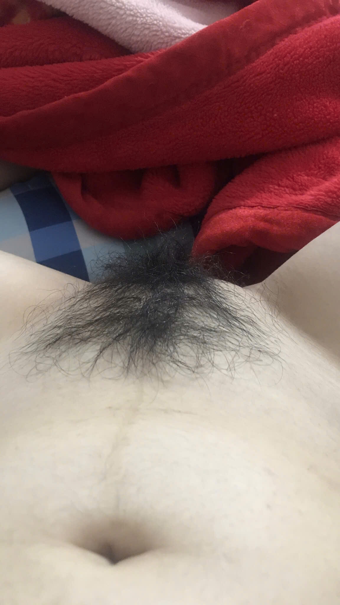 560611-e6713cf65b0b.jpg