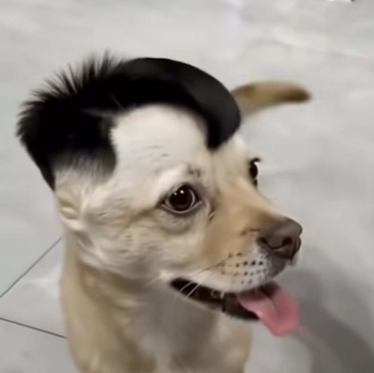561229-c2e9e64457e8.jpeg