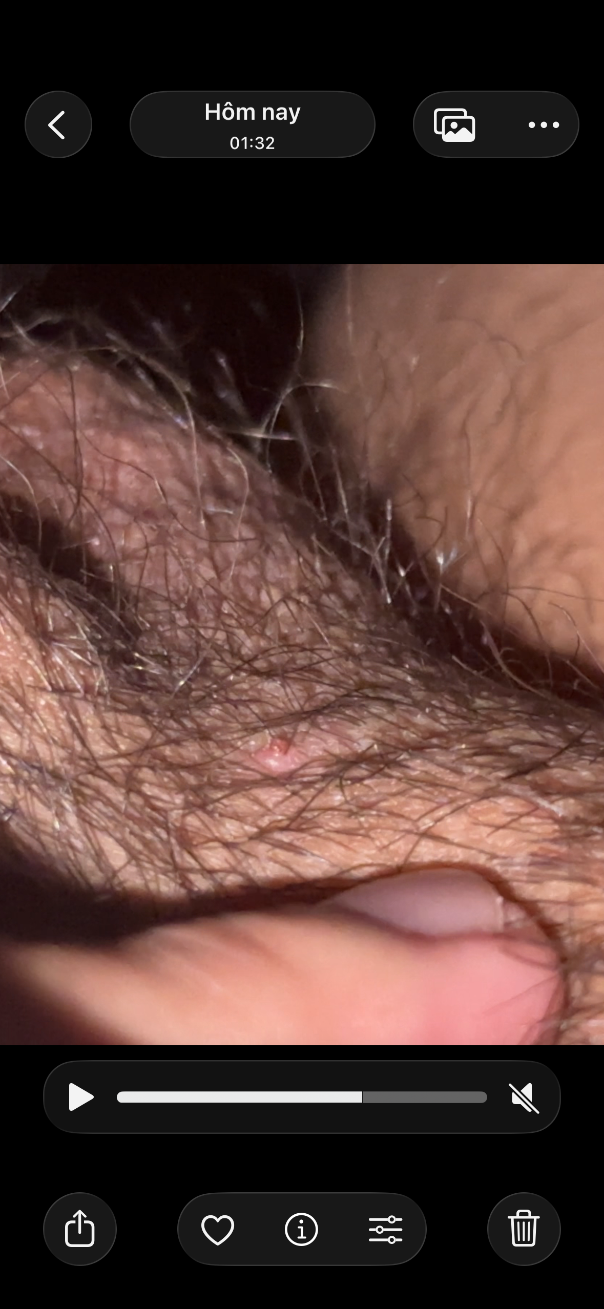 563484-805d10a12175.png