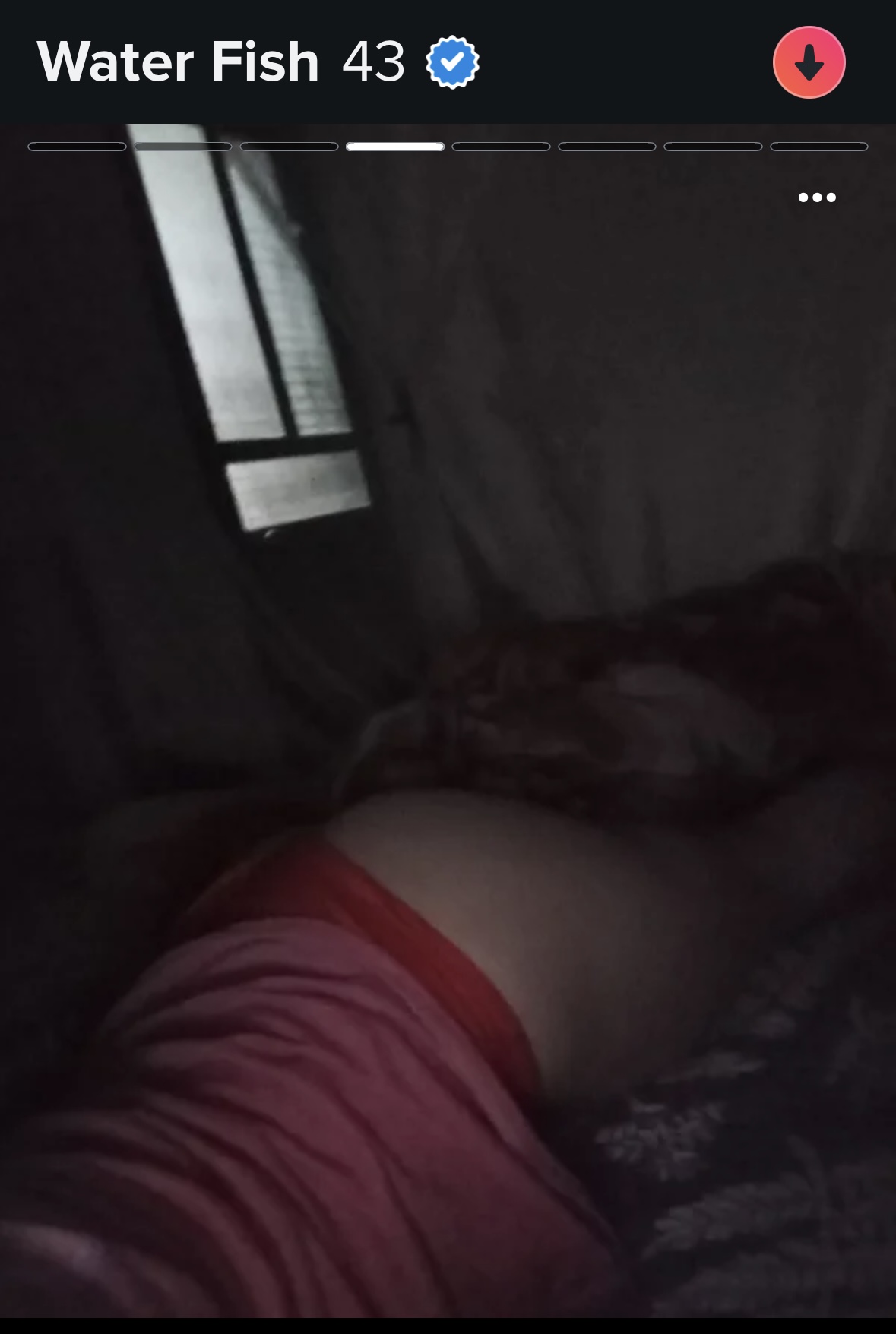 565601-ecc37ae7c4e7.jpeg