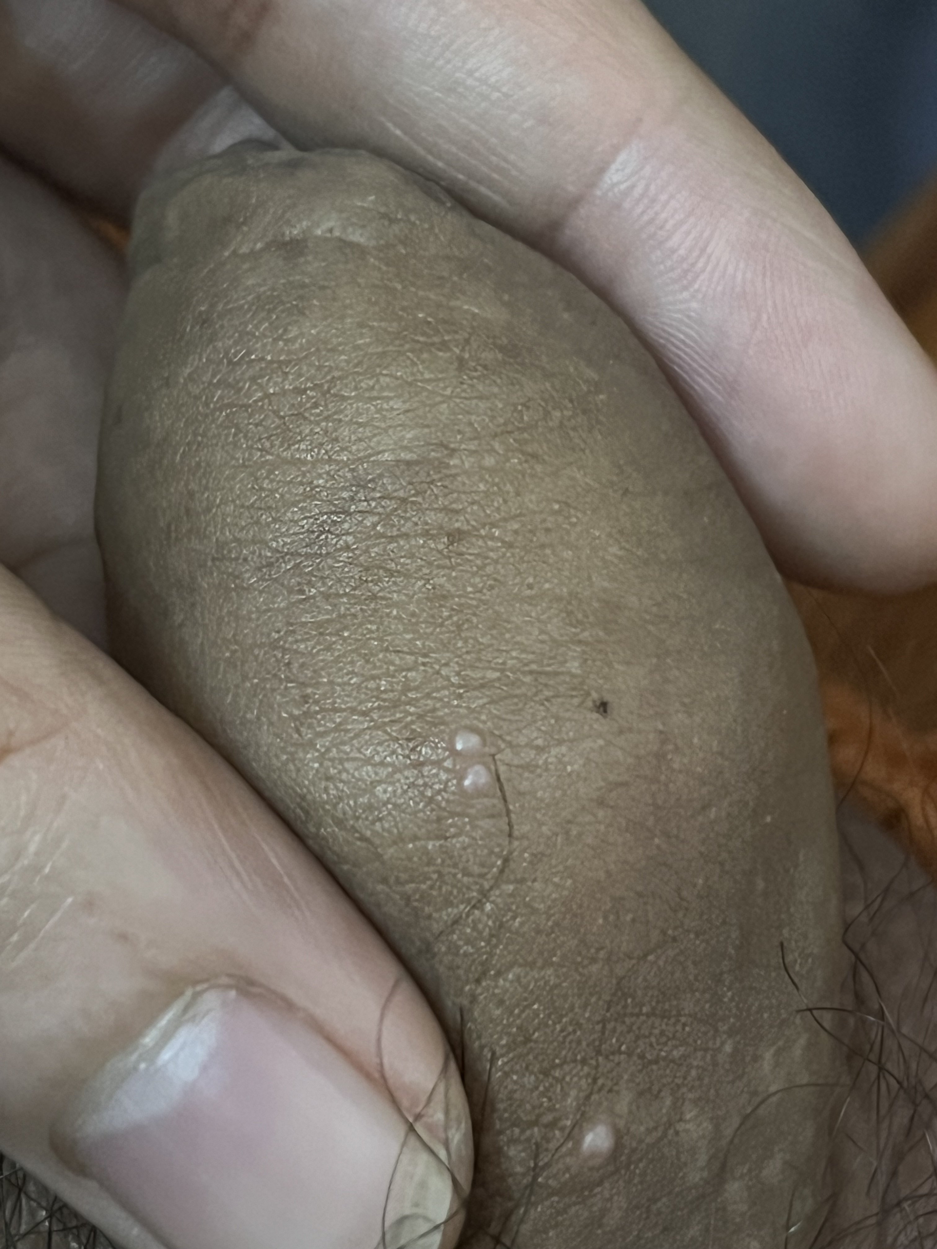 569830-bd2c34e008a3.jpeg