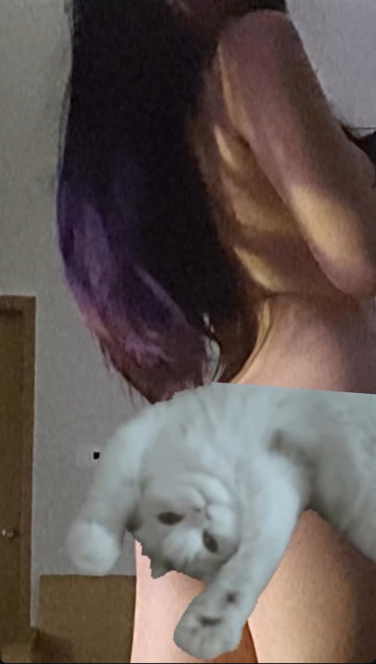 572431-63d44fda373c.jpeg