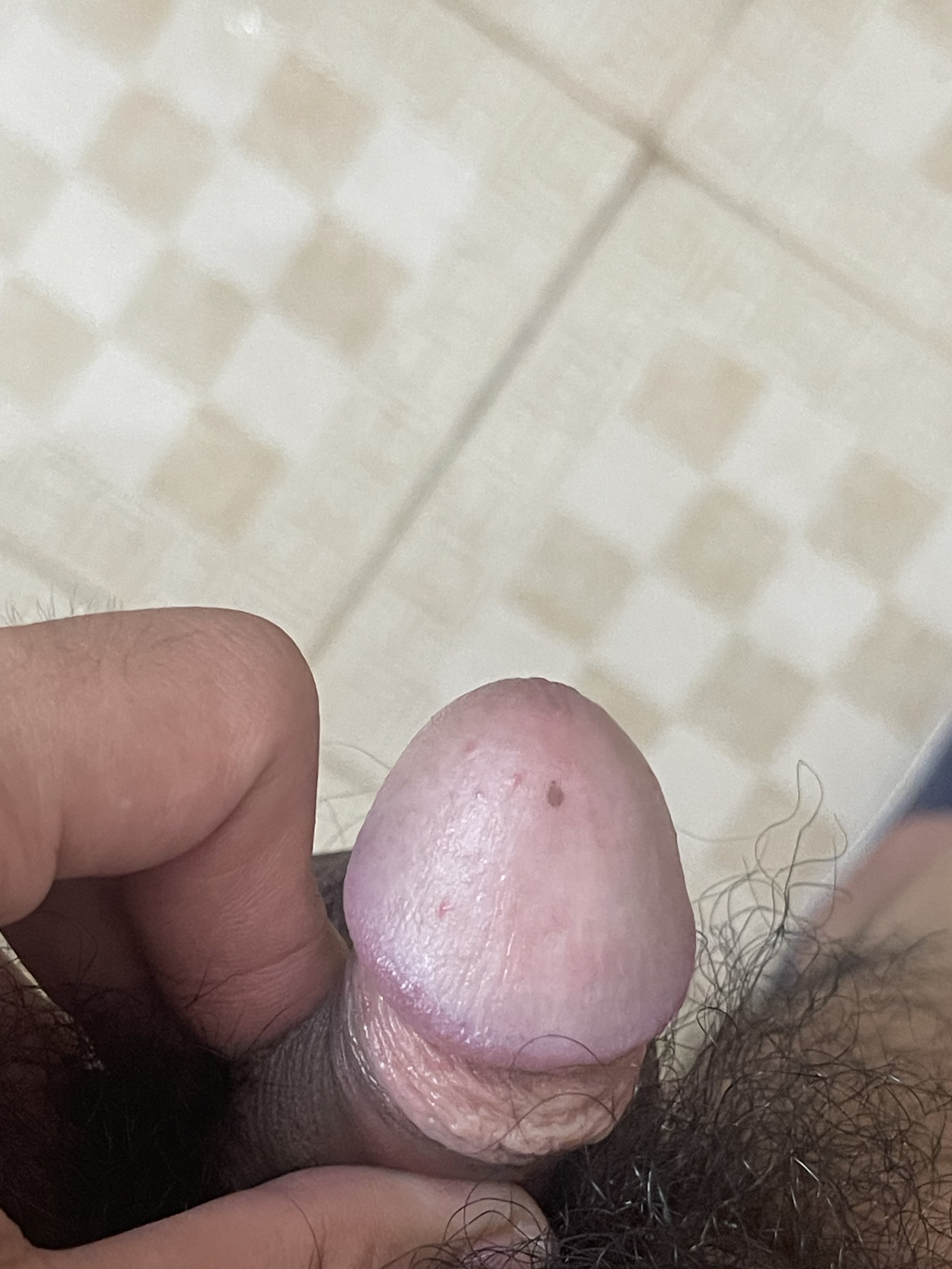 580229-bd46b6a1a107.jpeg