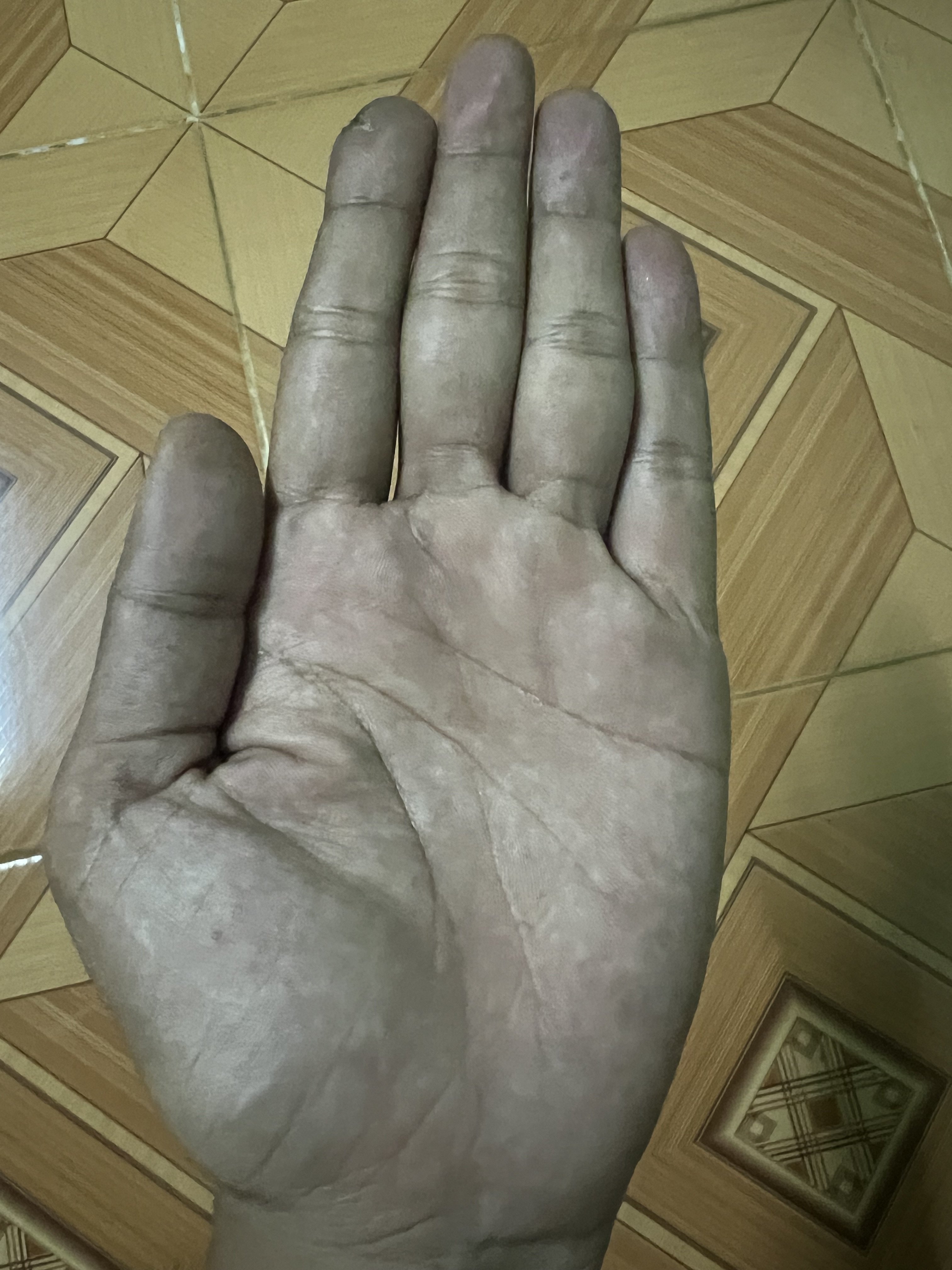 581912-2989a297e4b8.jpeg