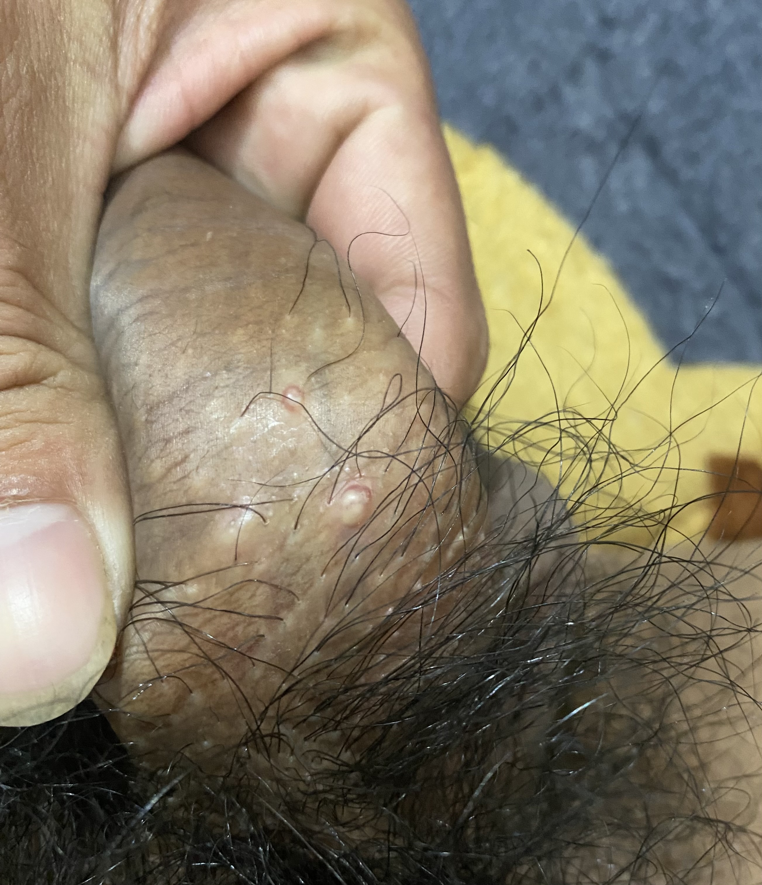 583701-fff1d281c421.jpeg