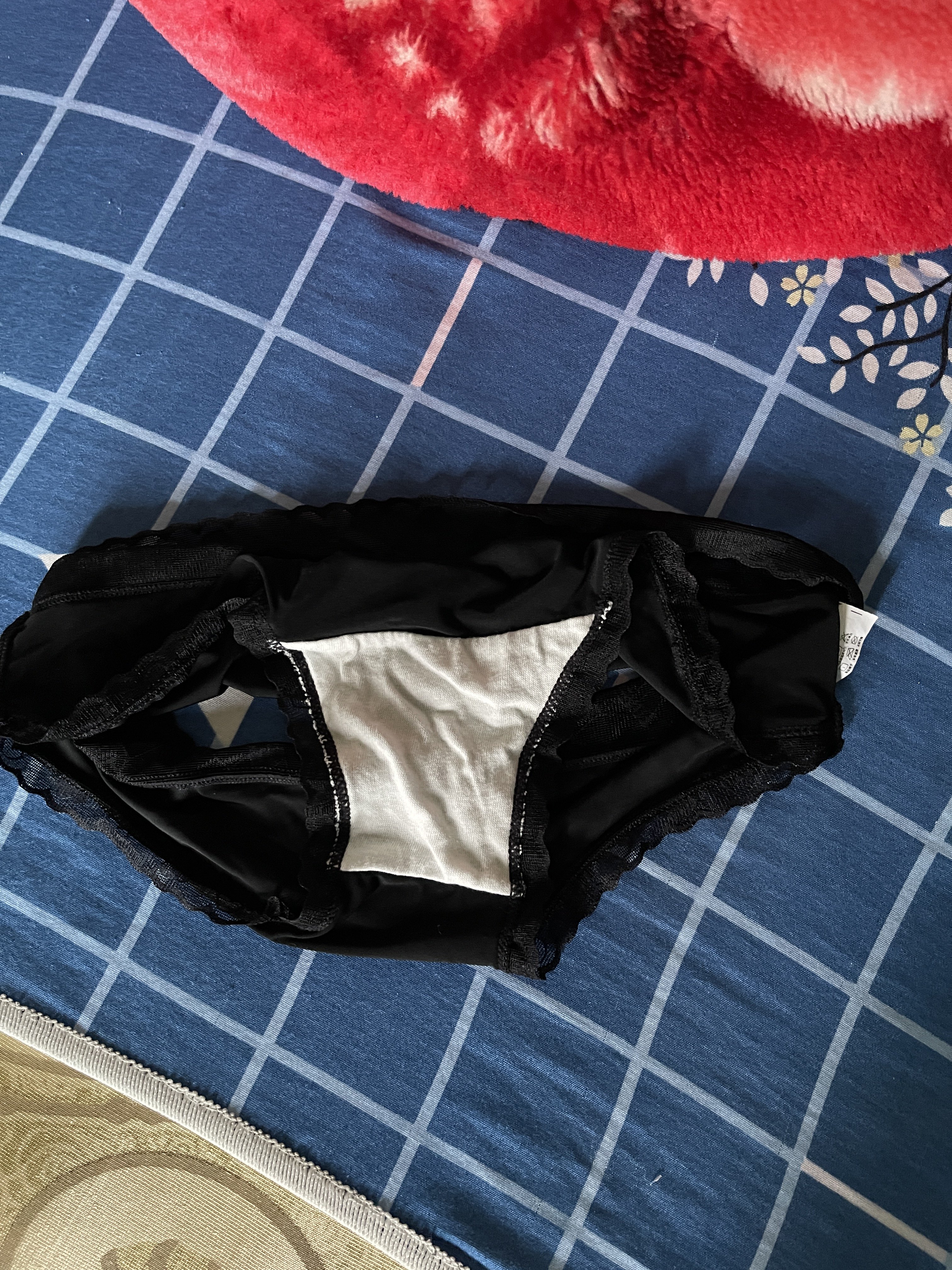 590633-72acd23c9887.jpeg