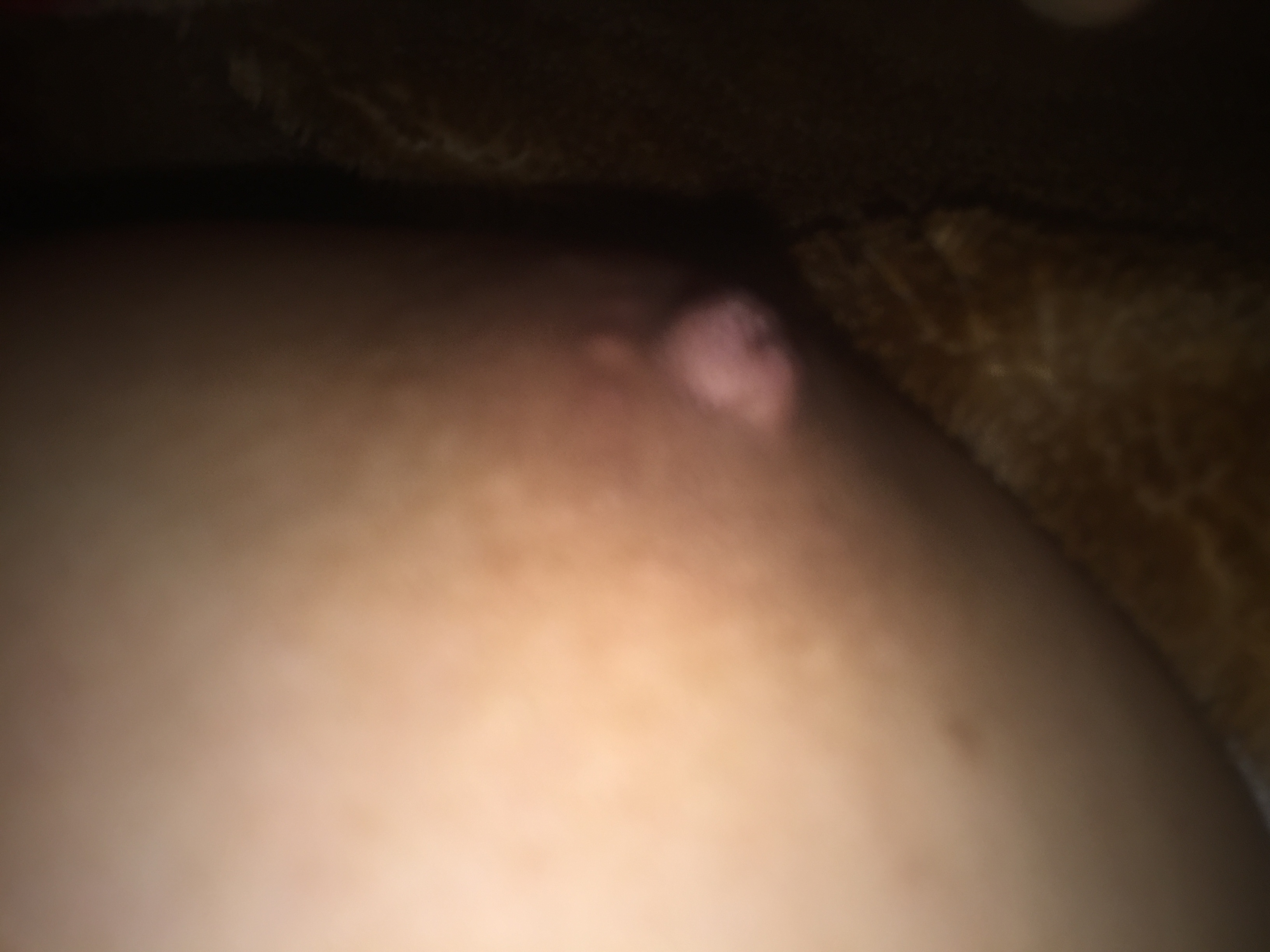 597012-0dd91e8f5e57.jpeg