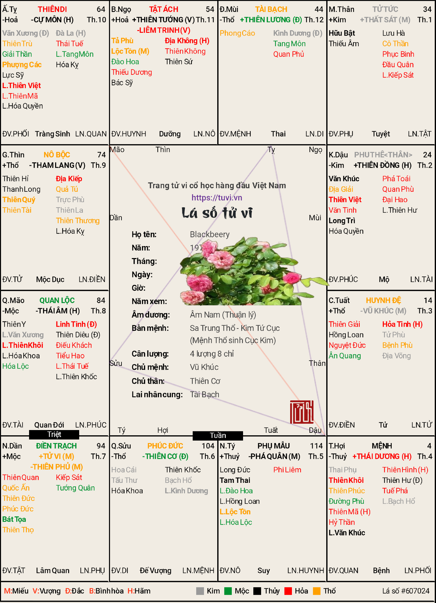 6800-f476ed90ecd5.png