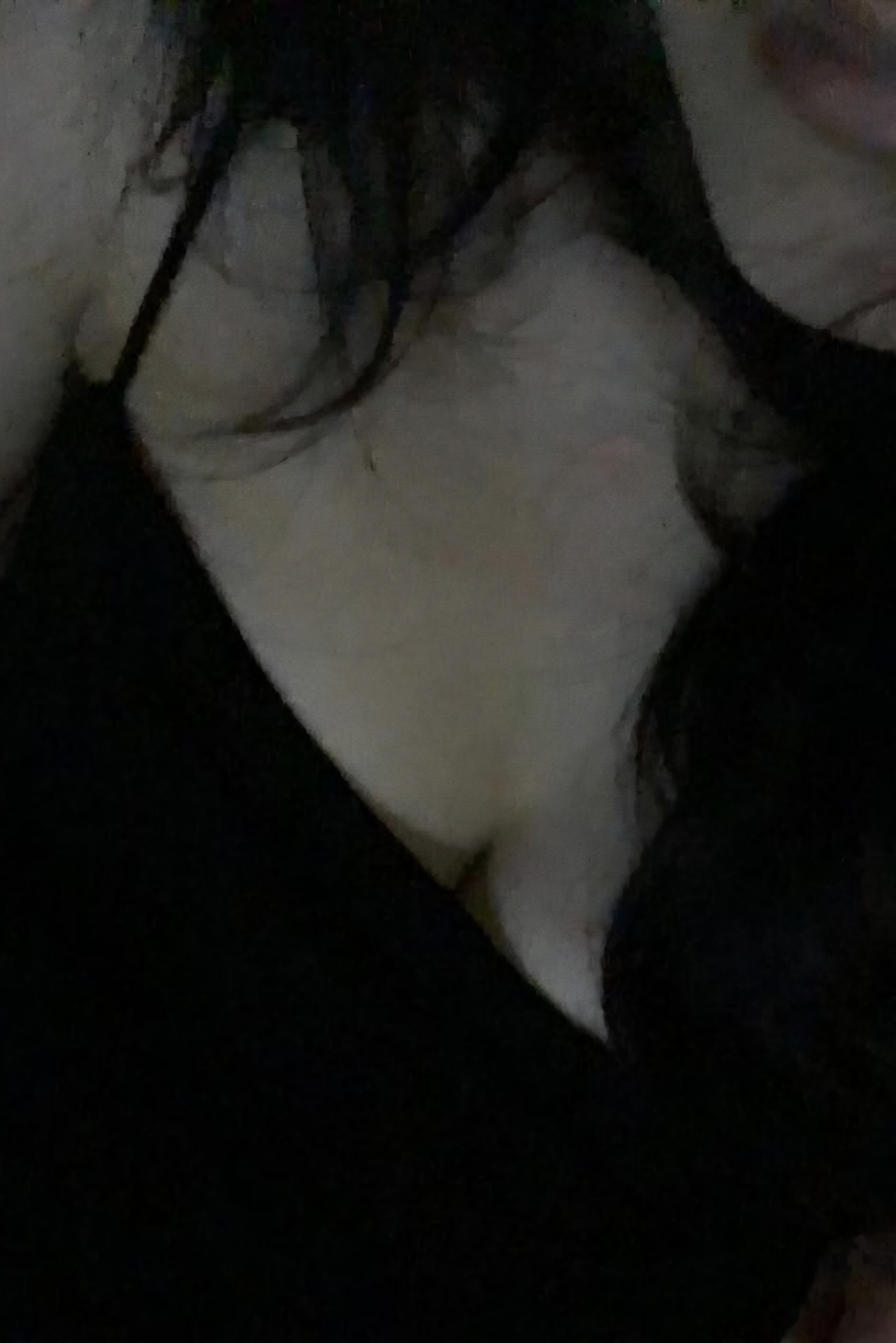 602997-0ca0c69a6bc3.jpeg