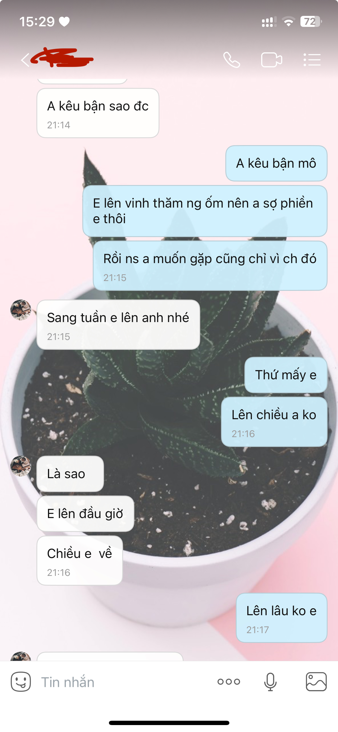 603537-823ad0e2baa6.jpeg