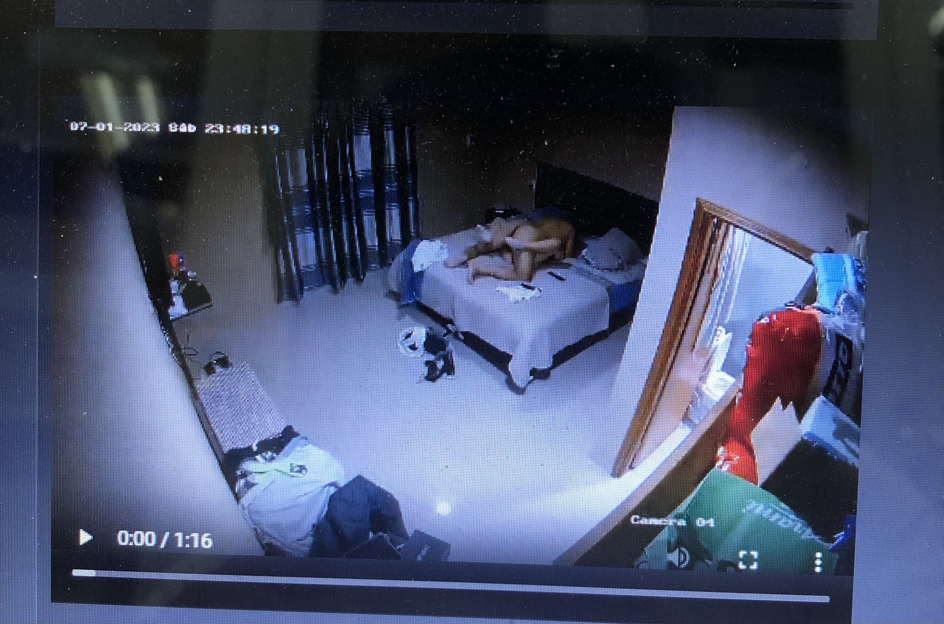 64117-8a2e5b2c5612.jpeg
