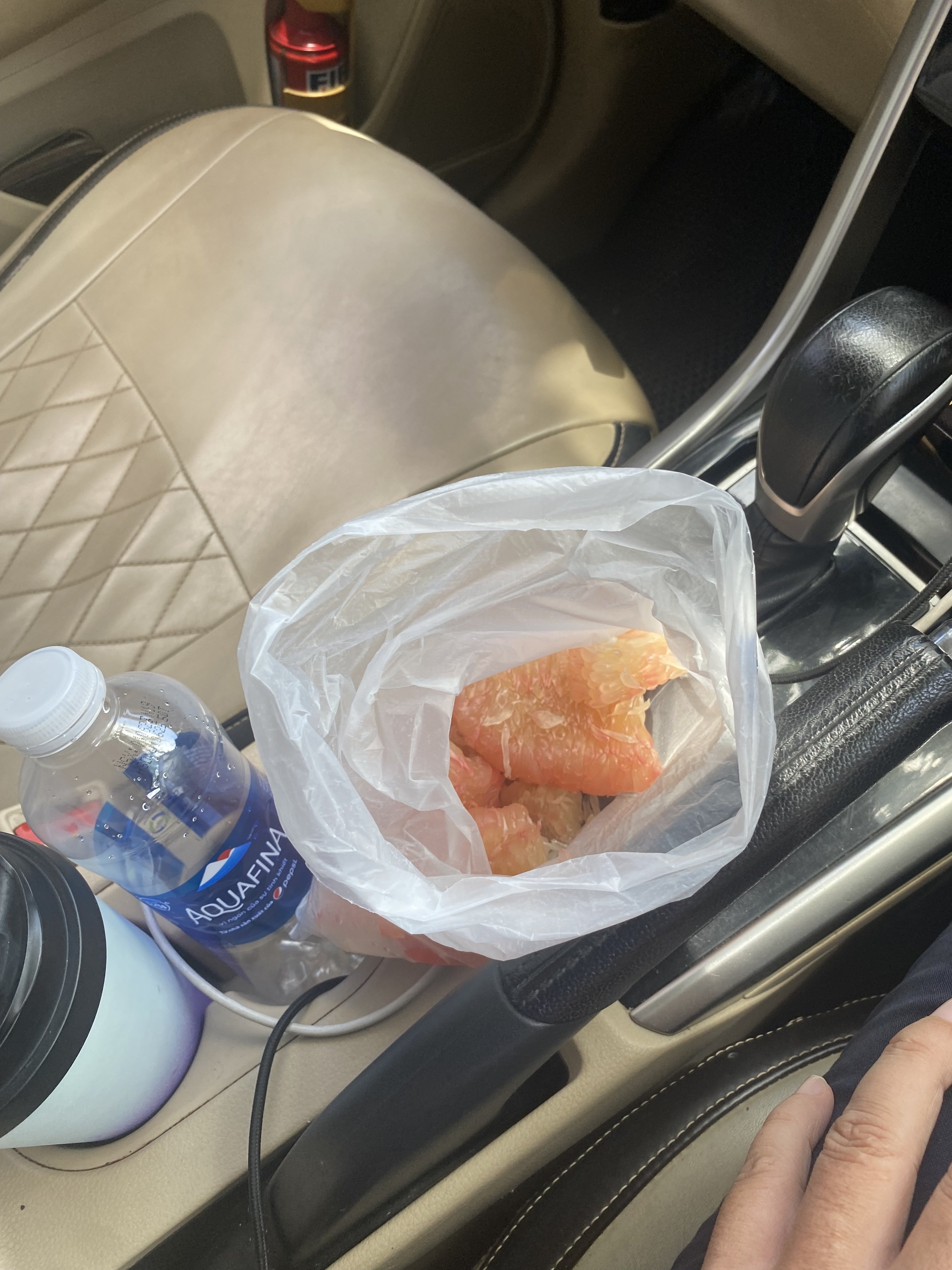 65379-ab45d0136a4b.jpeg
