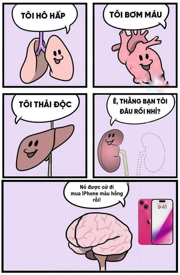 72851-fa2da1b777cc.jpeg