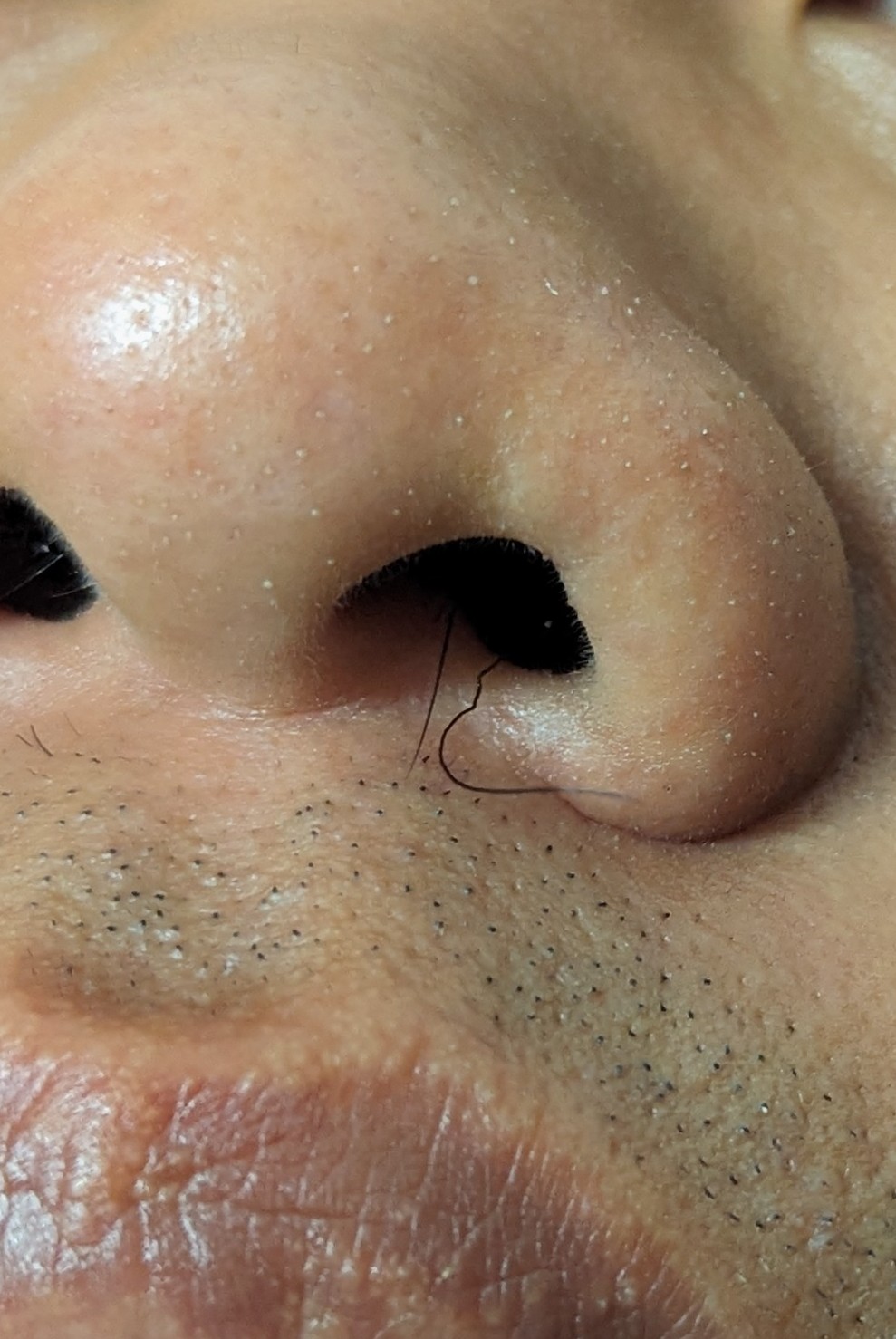 80043-8815071472d1.jpg