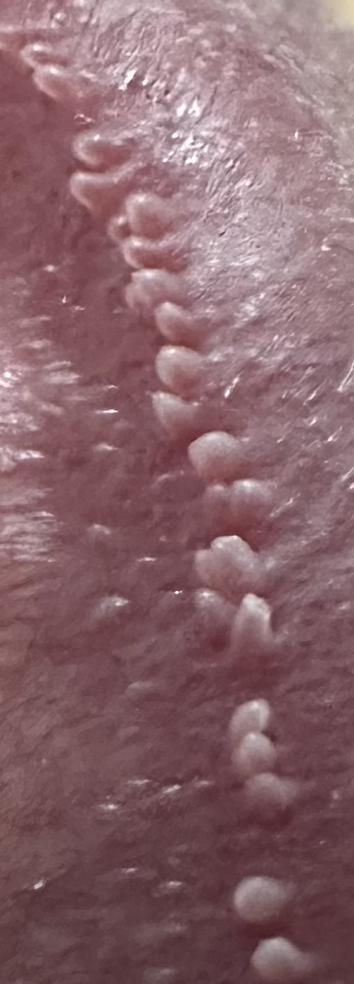 83259-d424d1730f6b.jpeg