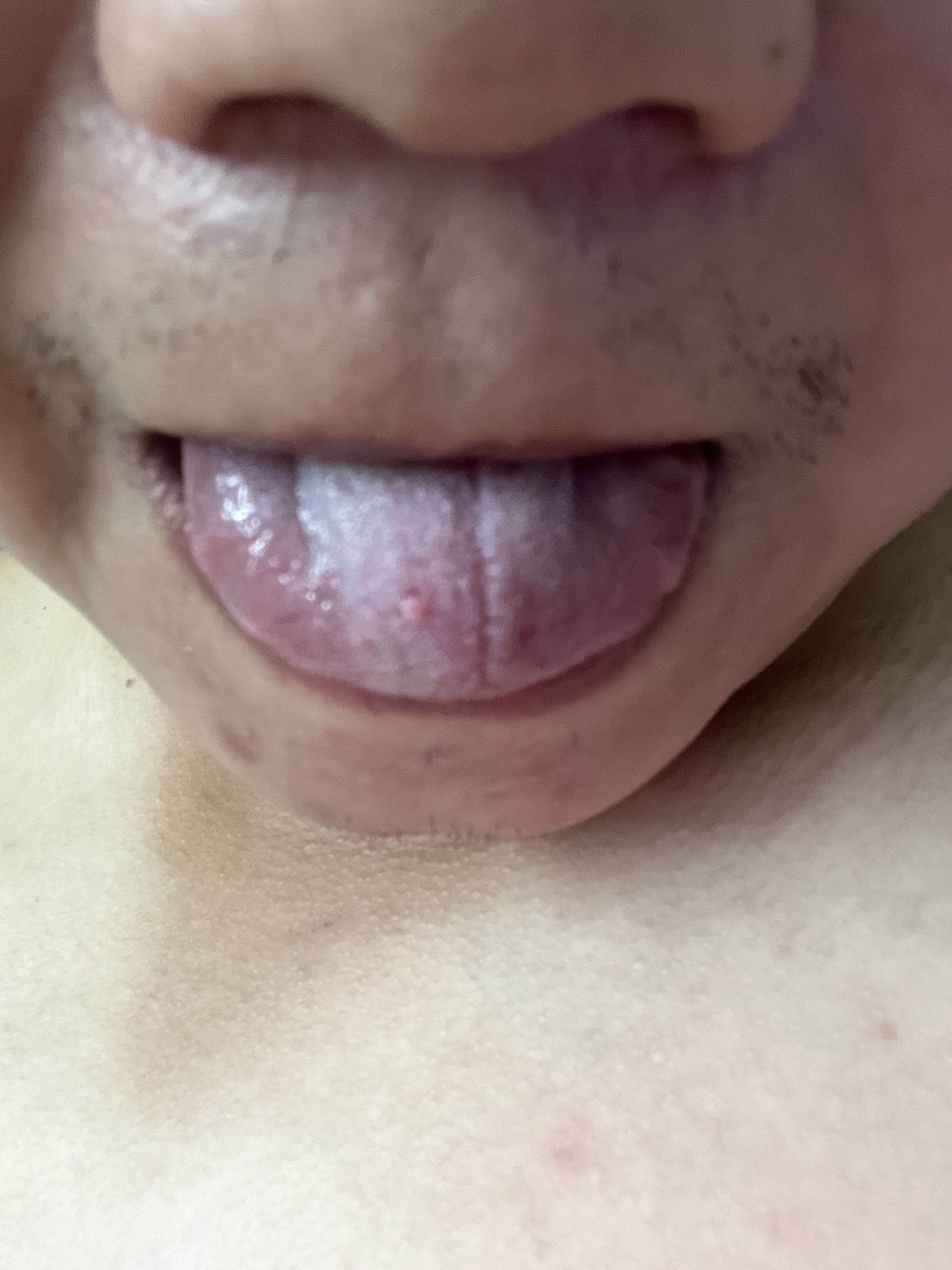 86051-737c57c1dd12.jpeg