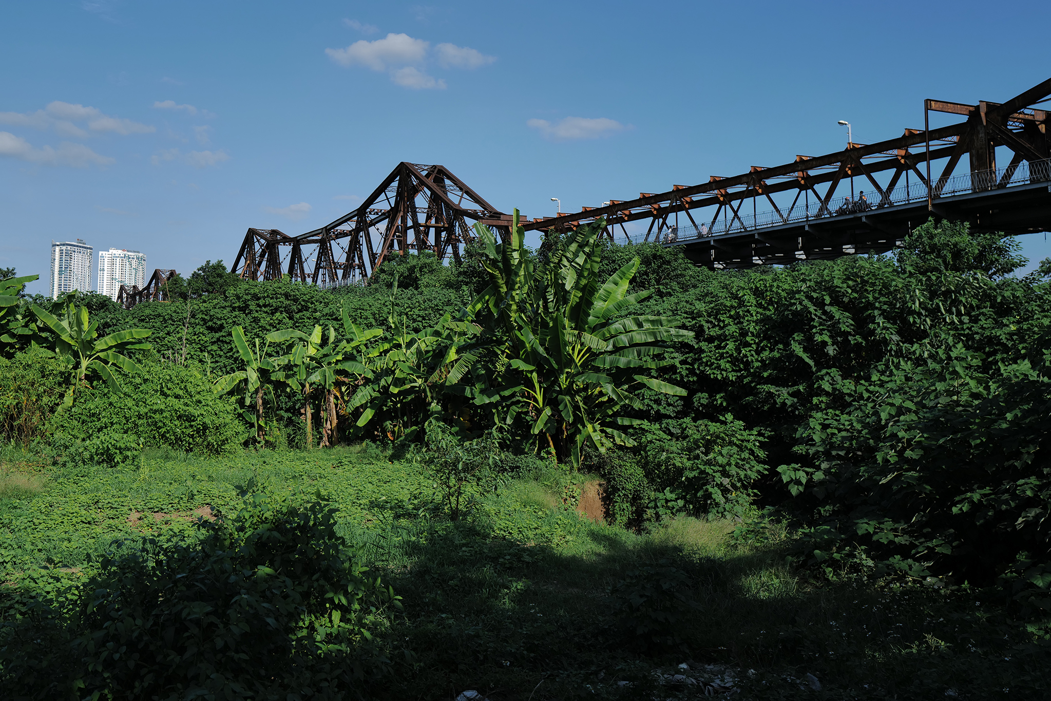 87770-d53e2ad90c12.jpg