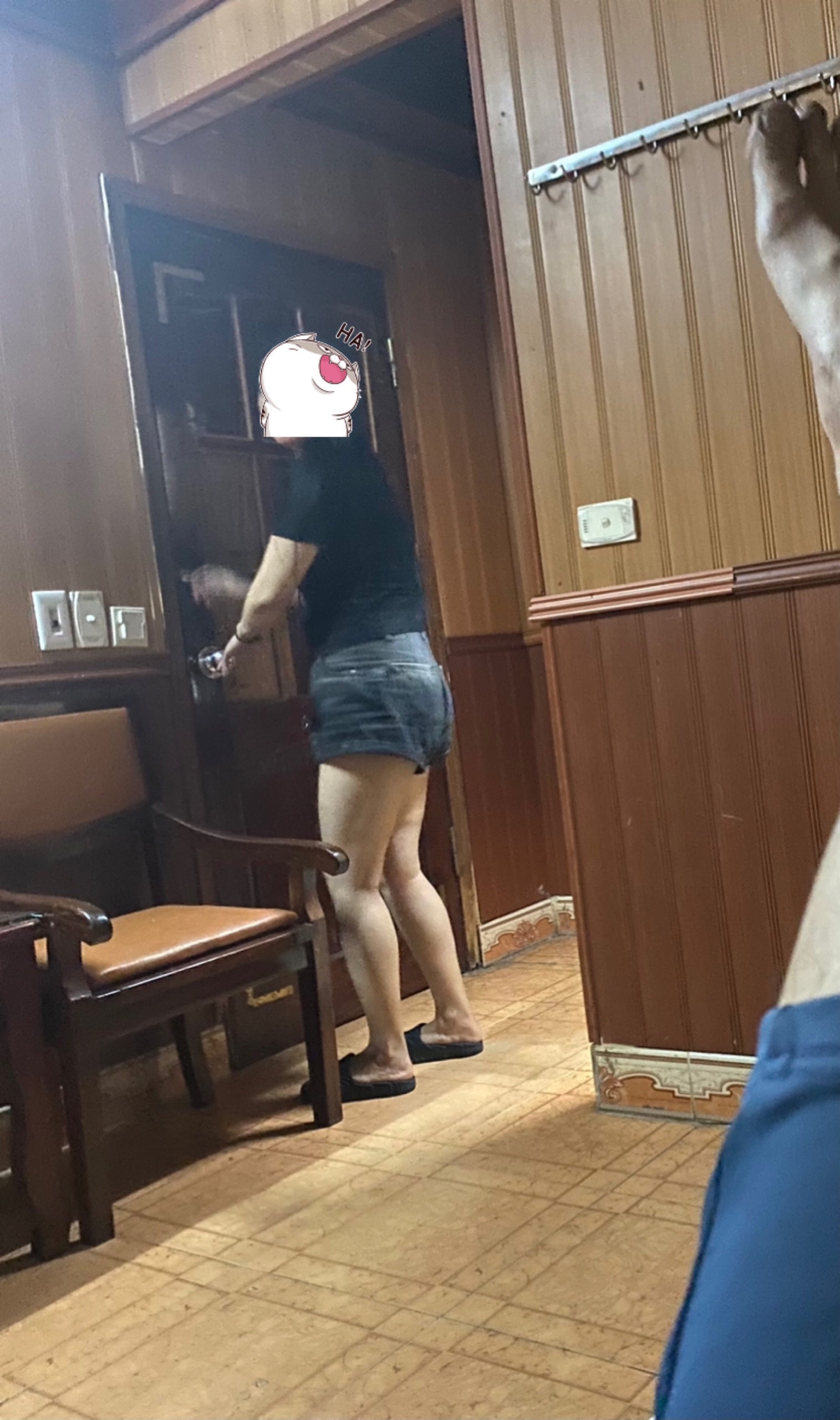 91874-85907fdbe703.jpeg