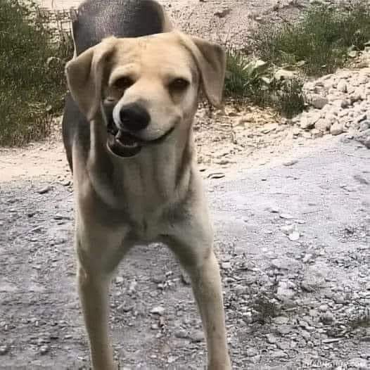 91916-269a5908581f.jpeg