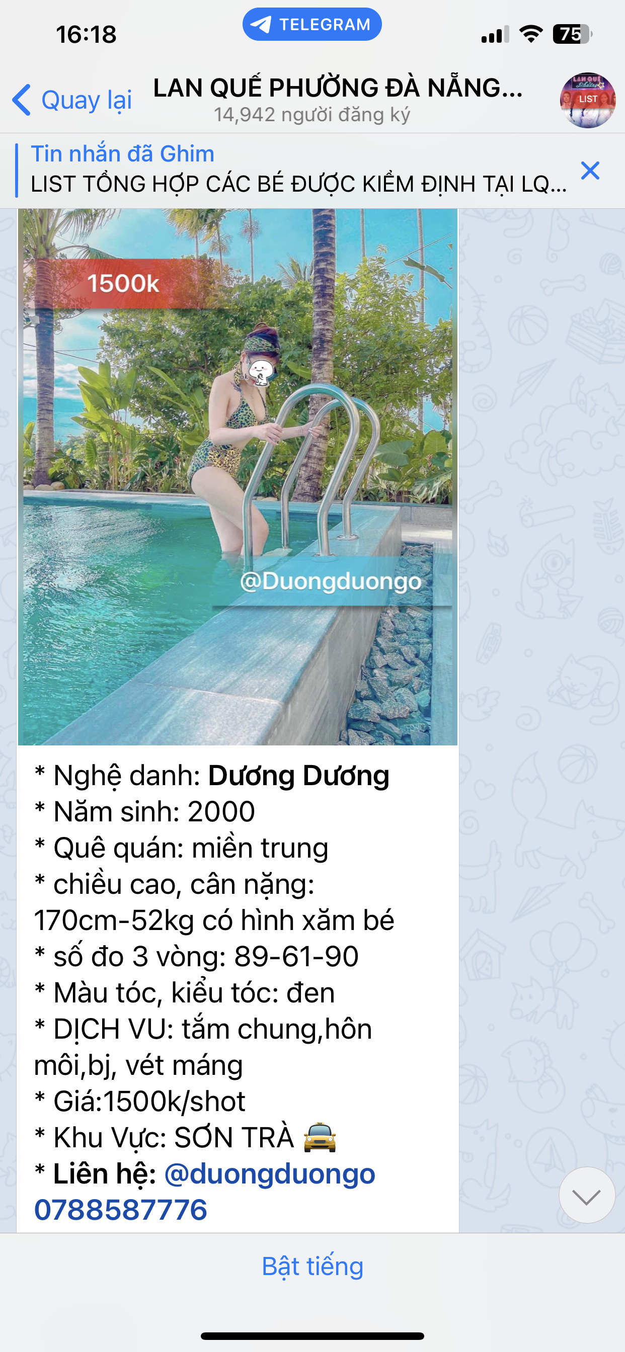 94142-a03c978d9f31.png