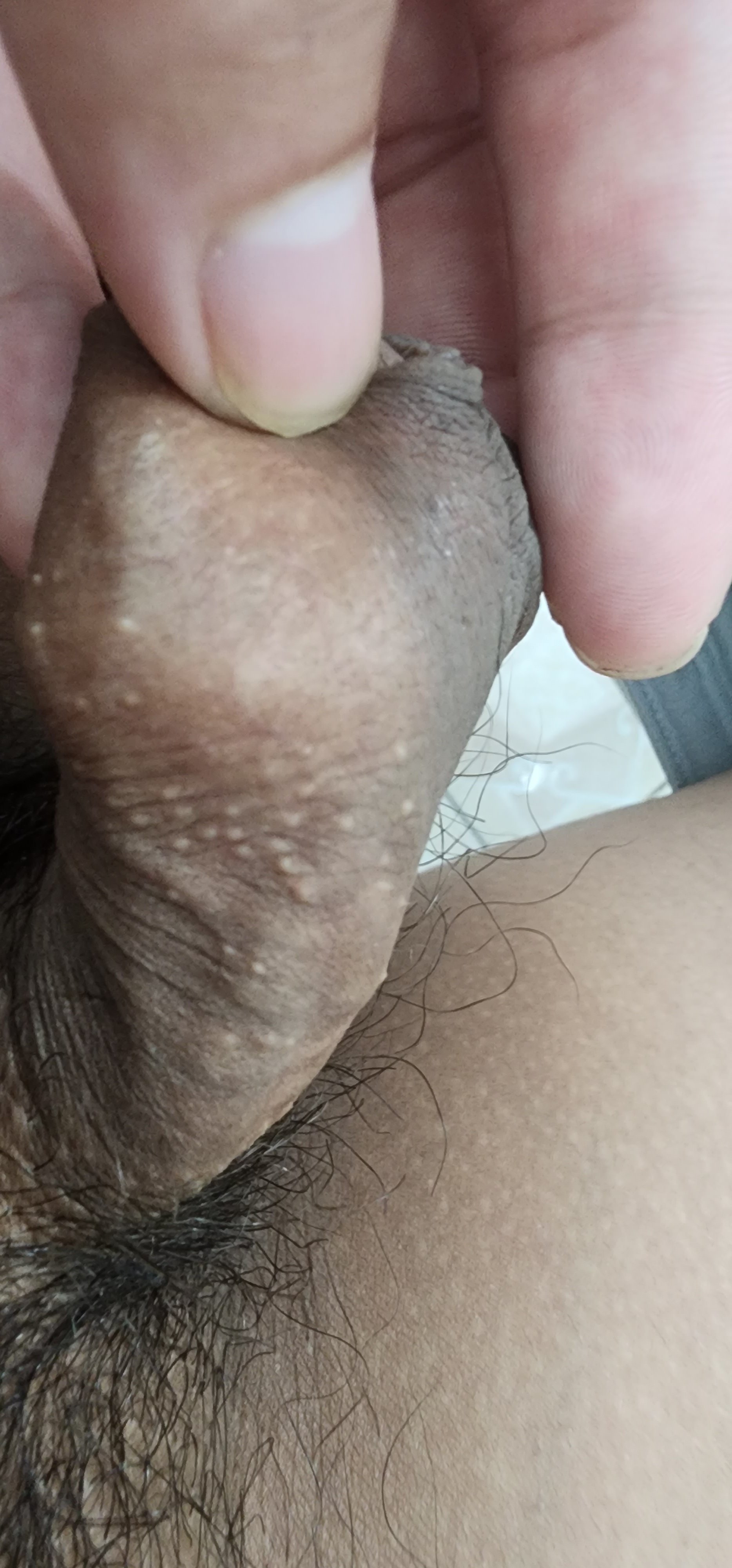96862-2233d31f98db.jpg