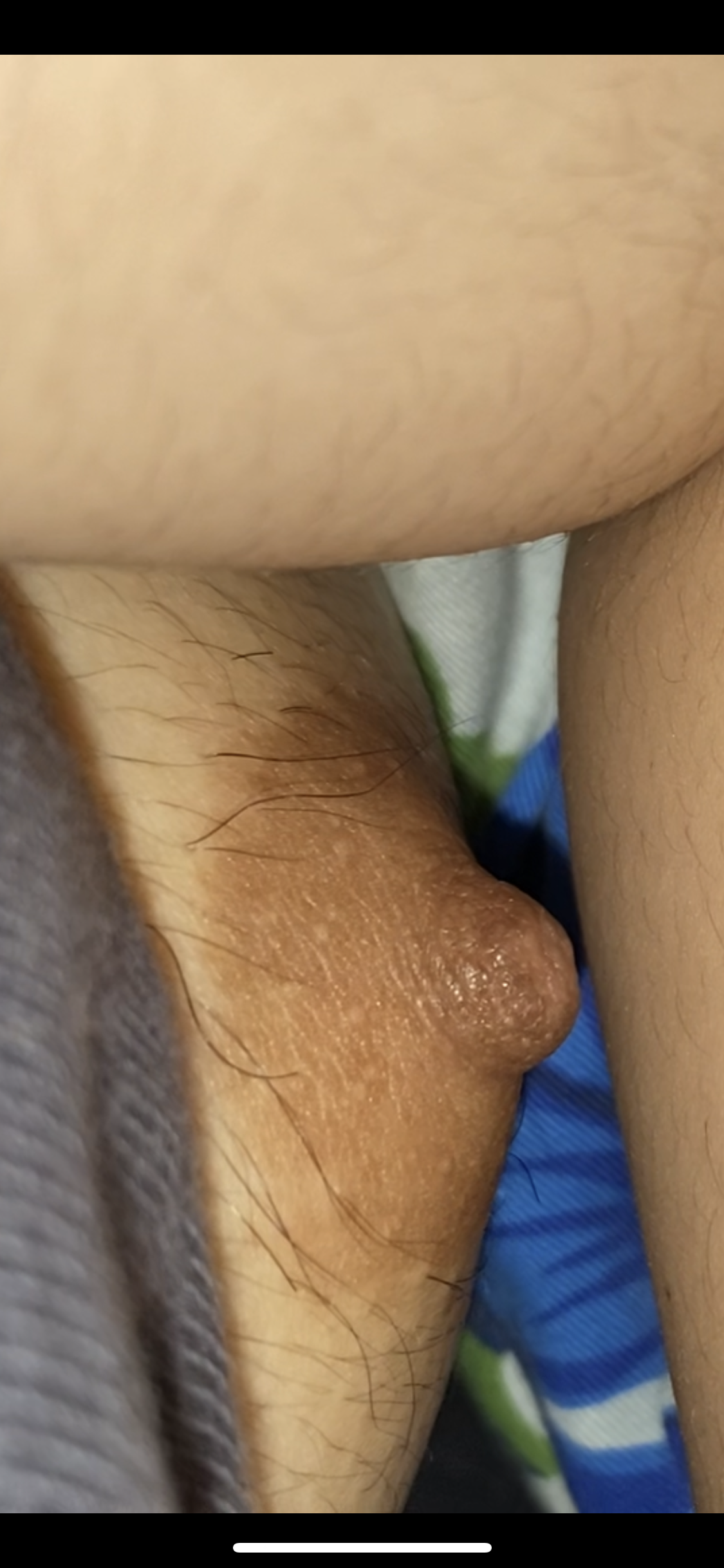 99742-c9044192f15b.png